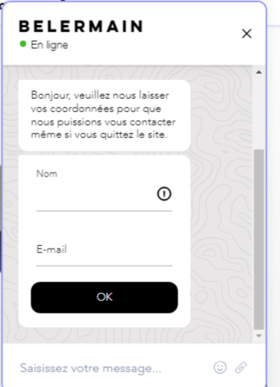 belermain-chat-en-direct.png